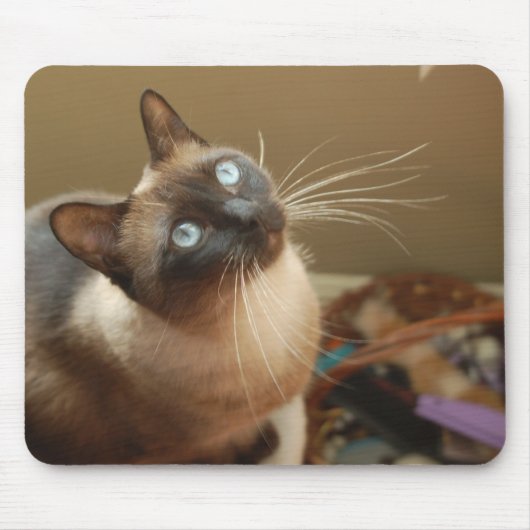 Marienkäfer Mousepad (Vorne)