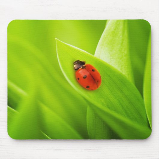 Marienkäfer Mousepad (Vorne)