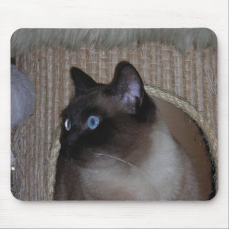 Marienkäfer Mousepad