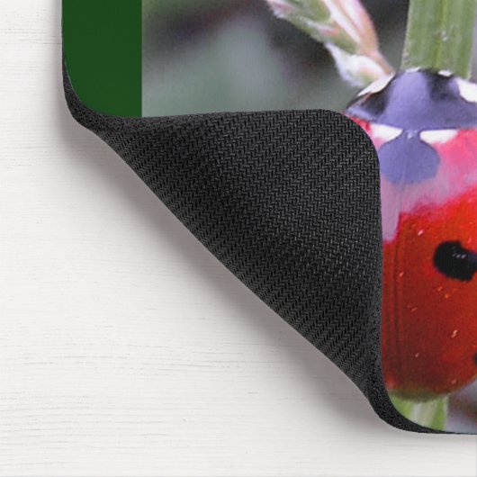 Marienkäfer Mousepad (Ecke)