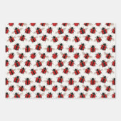 Marienkäfer-Muster Geschenkpapier Set (Vorderseite 2)