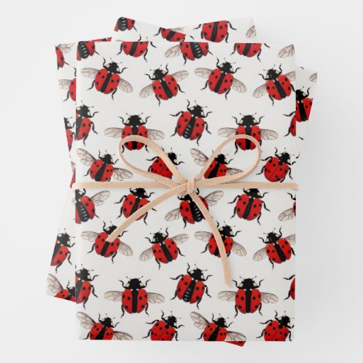 Marienkäfer-Muster Geschenkpapier Set (Beispiel)