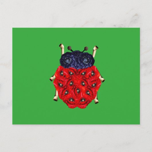 Marienkäfer Postkarte (Vorderseite)