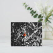 Marienkäfer Postkarte (Stehend Vorderseite)