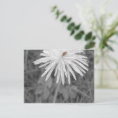 Marienkäfer Postkarte (Stehend Vorderseite)