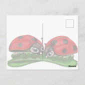 Marienkäfer postkarte (Rückseite)