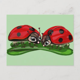 Marienkäfer  postkarte