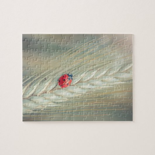 Marienkäfer Puzzle (Horizontal)