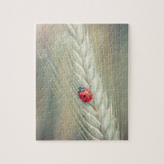 Marienkäfer Puzzle (Vertikal)