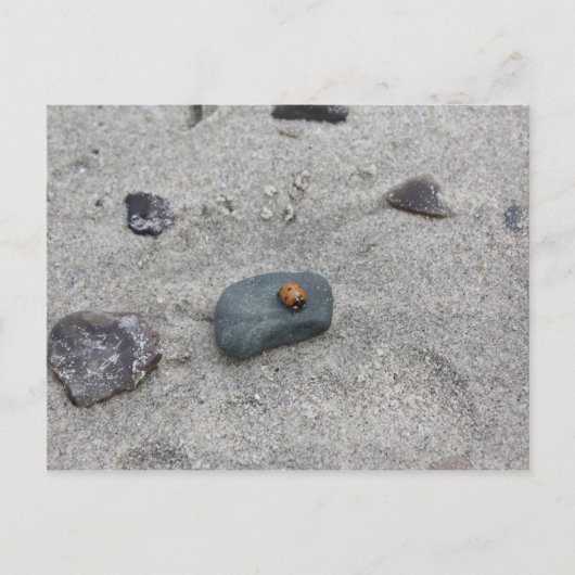 Marienkäfer Strand Postkarte (Vorderseite)