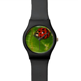 Marienkäfer-Uhr Uhr