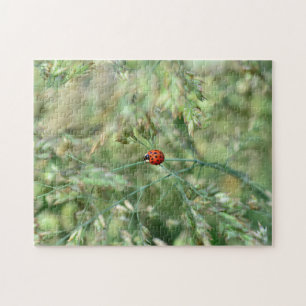 Marienkäfer unterging.. puzzle