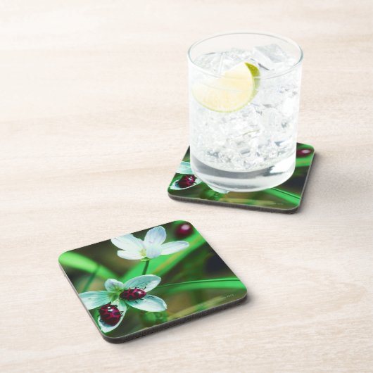 Marienkäfer Untersetzer (Rechte Seite)