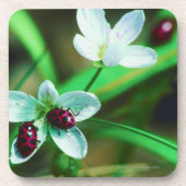 Marienkäfer Untersetzer (Vorderseite)