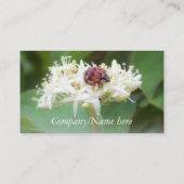 Marienkäfer Visitenkarte (Rückseite)