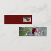 Marienkäfer-Visitenkarte Mini Visitenkarte (Vorne/Hinten)