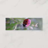 Marienkäfer-Visitenkarte Mini Visitenkarte (Rückseite)