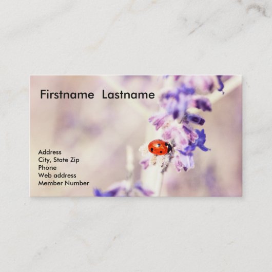 Marienkäfer-Visitenkarte Visitenkarte (Vorderseite)