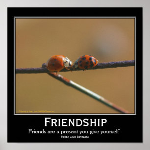 Marienkäfer-Zitat über Freundschaft Inspiration Poster