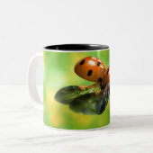 Marienkäfer Zweifarbige Tasse (Vorderseite Links)