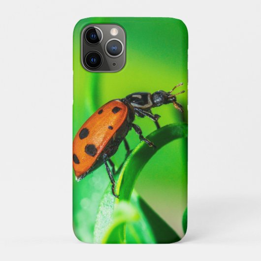 Marienkäferblatt Case-Mate iPhone Hülle (Rückseite)