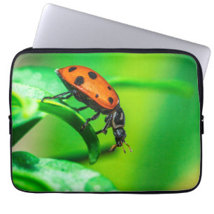 Marienkäferblatt Laptopschutzhülle