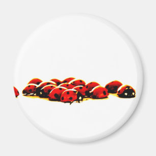 Marienkäferinvasion Magnet