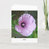 Marienkirche Karte (Rückseite)