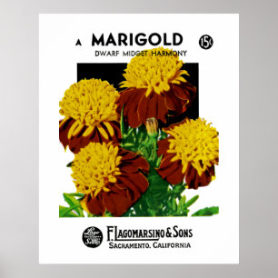 Marigalt Poster