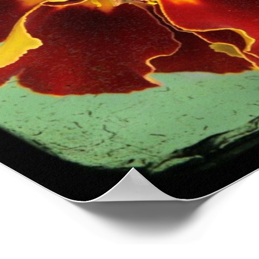 Marigold 2 poster (Ecke)