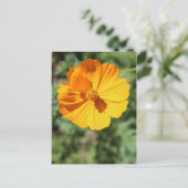 Marigold # 7 postkarte (Stehend Vorderseite)