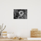 Marigold Blossom Poster (Küche)