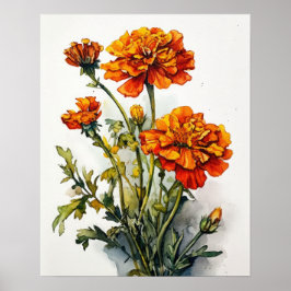Marigold Blume Art Print Poster