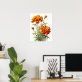 Marigold Blume Art Print Poster (Heimbüro)