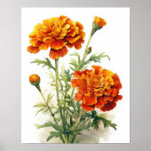 Marigold Blume Art Print Poster (Vorne)