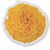 Marigold Blume Aufkleber (Vorderseite)
