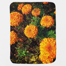 Marigold Blume