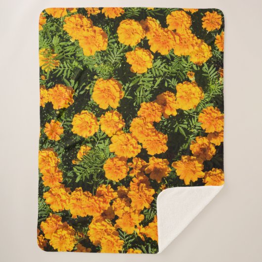 Marigold-Blume in Blüten Sherpadecke (Vorderseite)