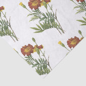 Marigold Blume Pattern Seidenpapier (Ausschnitt)