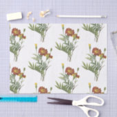 Marigold Blume Pattern Seidenpapier (Handwerk)