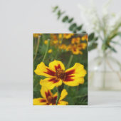 Marigold Blume Postcard Postkarte (Stehend Vorderseite)