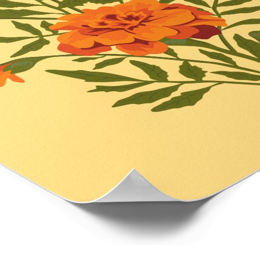 Marigold Blume Poster (Ecke)