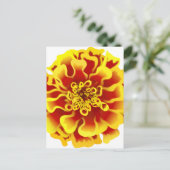 Marigold Blume Postkarte (Stehend Vorderseite)