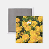 Marigold Blume und ein Daisy Blume Magnet (Vorderseite/Rückseite)