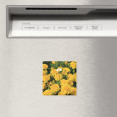 Marigold Blume und ein Daisy Blume Magnet (In Situ (Geschirrspüler))