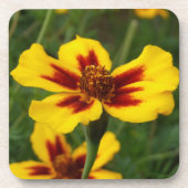 Marigold Blume Untersetzer (Vorderseite)