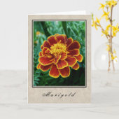 Marigold - Blumenserie Karte (Gelbe Blume)