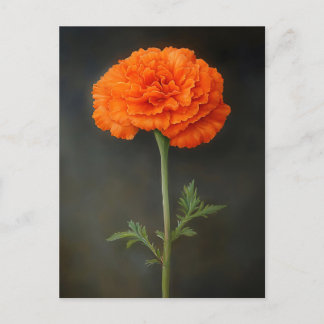 Marigold Botanische Malerei Postkarte