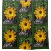 Marigold Duschvorhang (Vorderseite)
