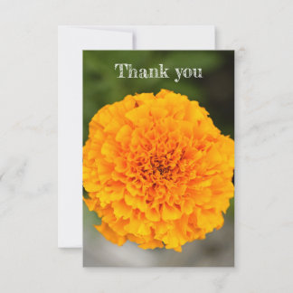 Marigold Flat Thank You Card Dankeskarte